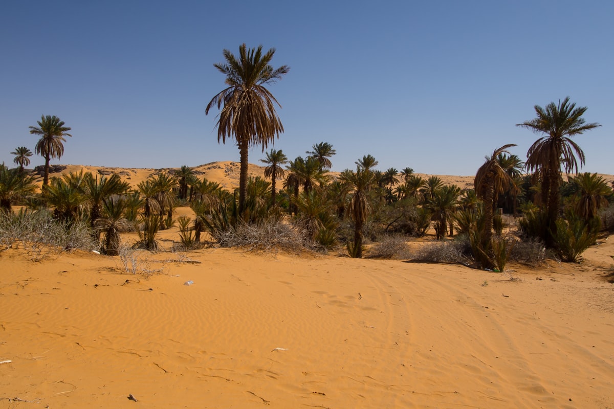 アルジェリアの風景