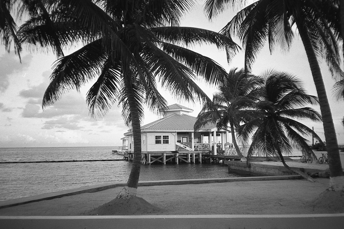 ベリーズの風景