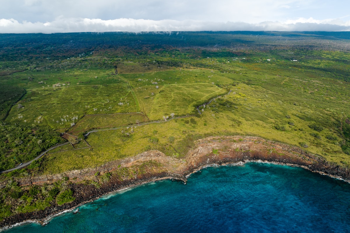 ハワイ島の風景