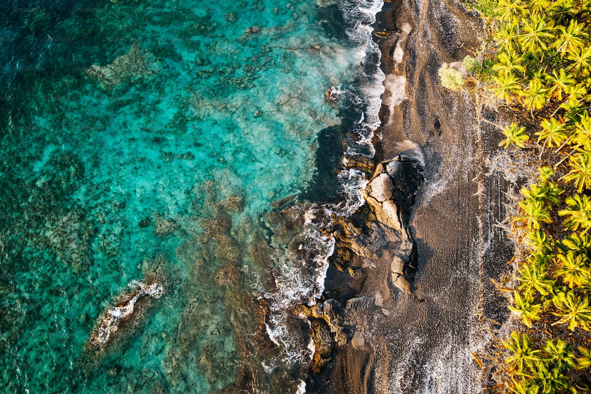 ハワイ島の風景