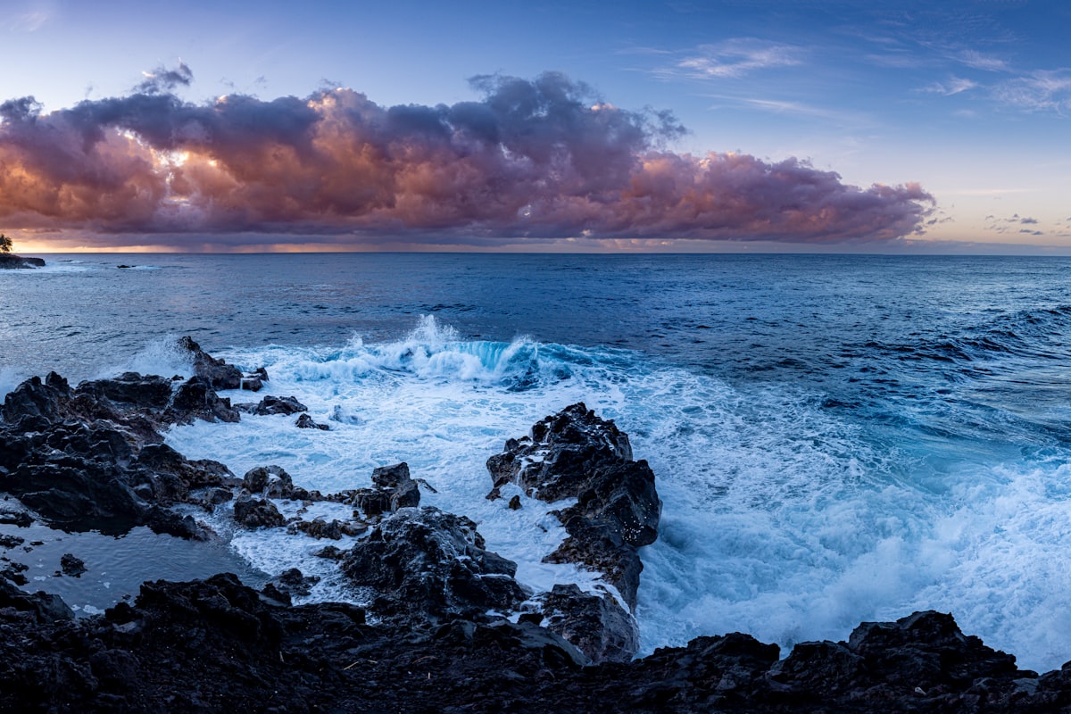 ハワイ島の風景
