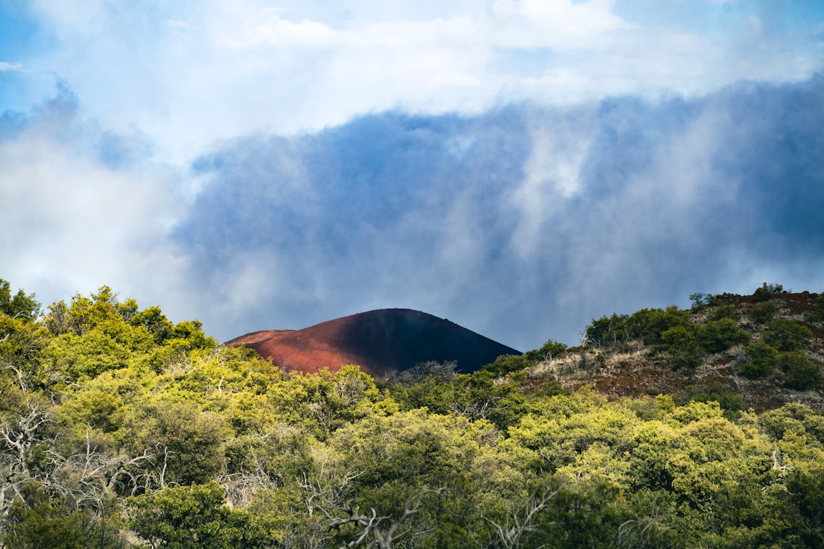 ハワイ島の風景