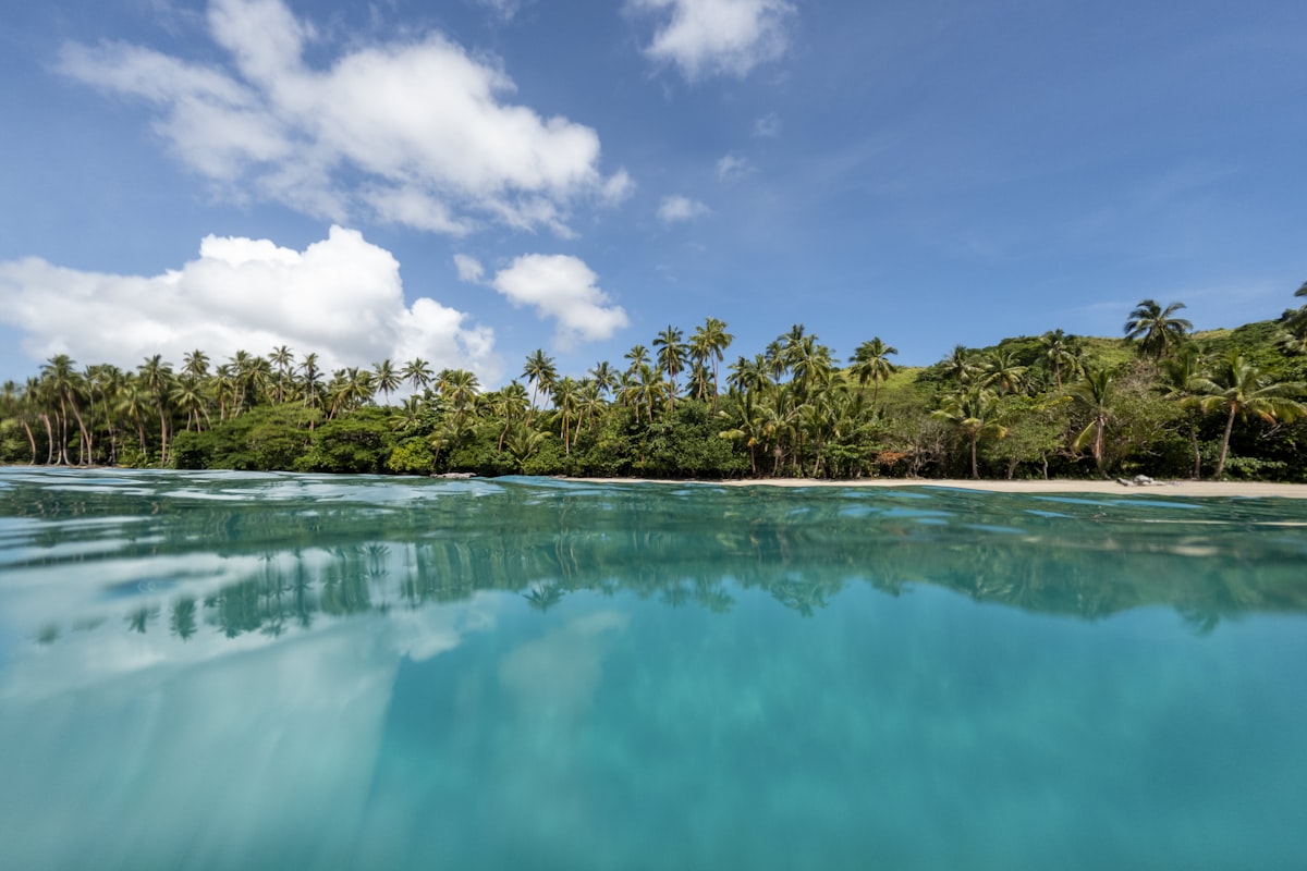 フィジーの風景