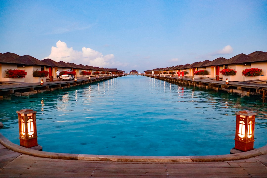 フィジーの風景