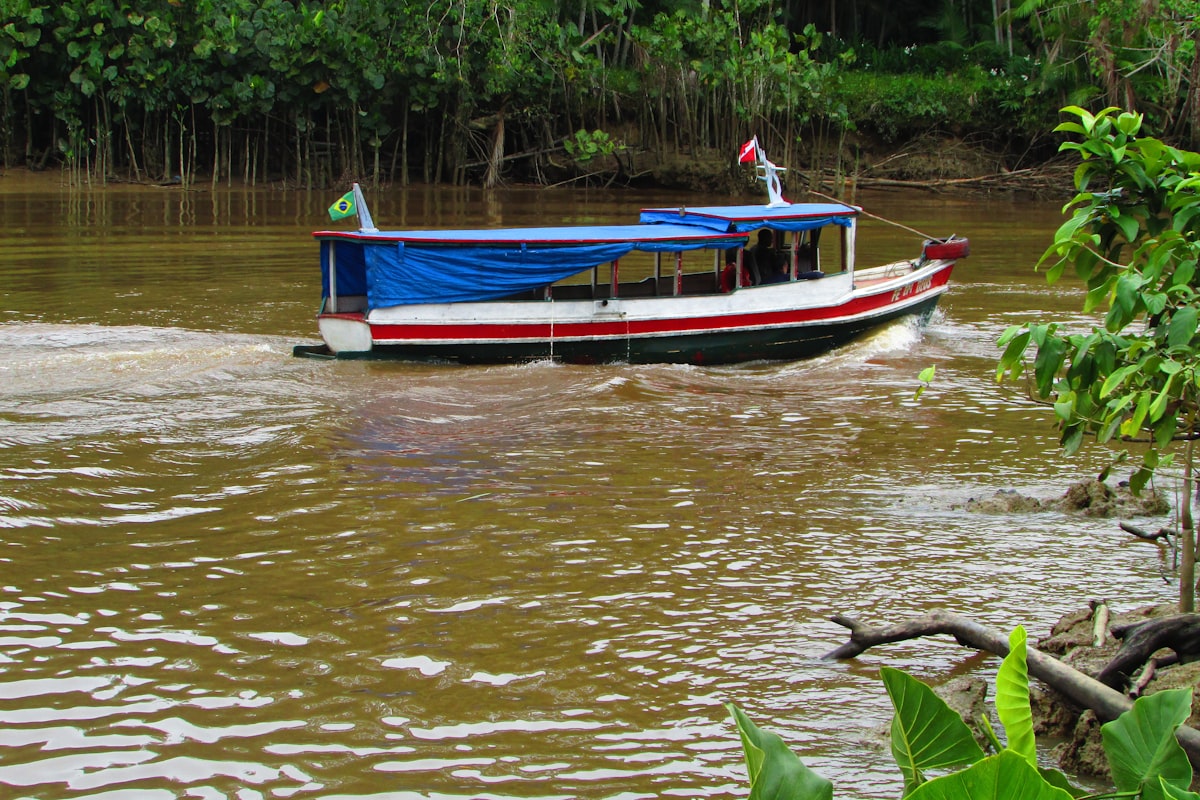 ガイアナの風景