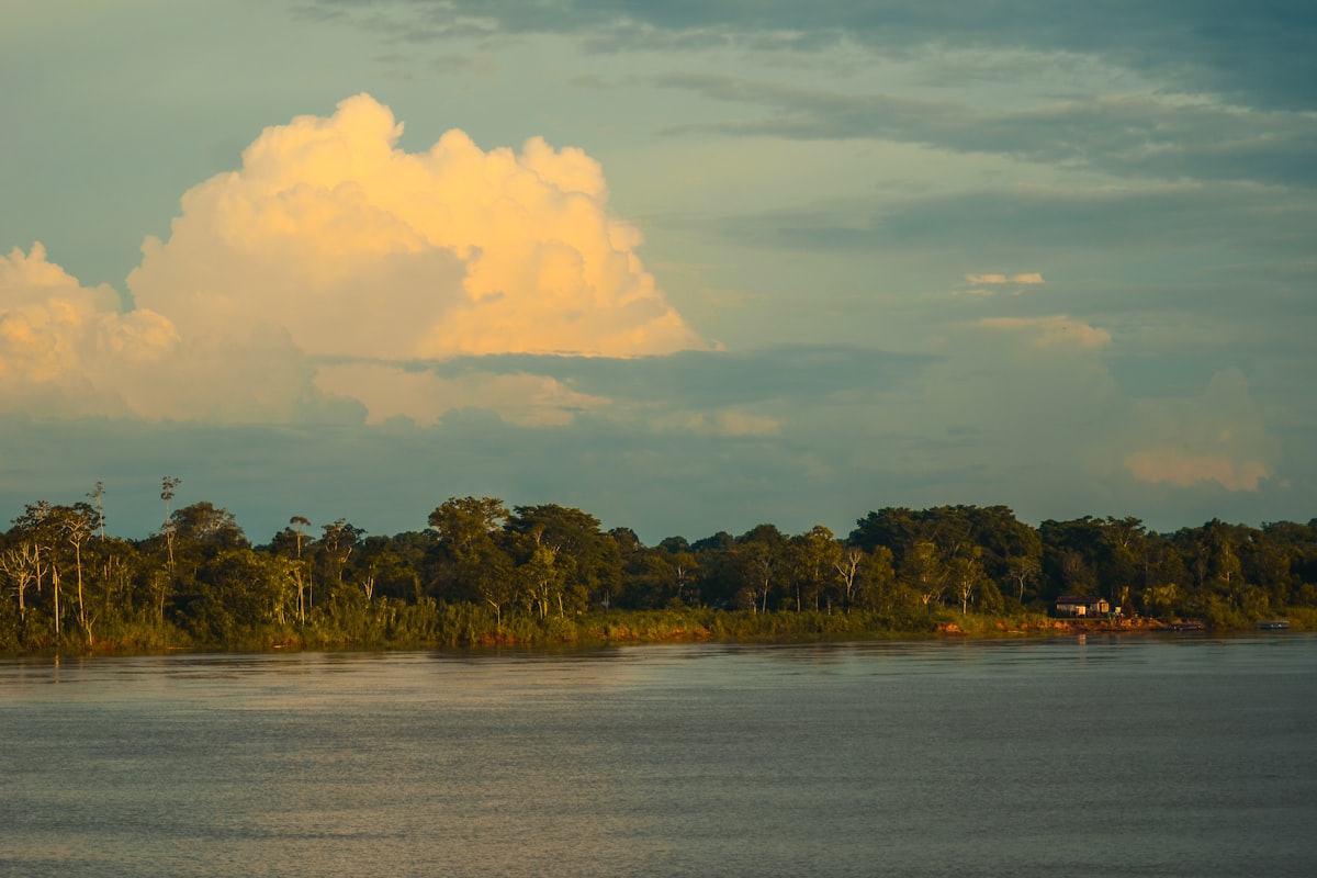 ガイアナの風景
