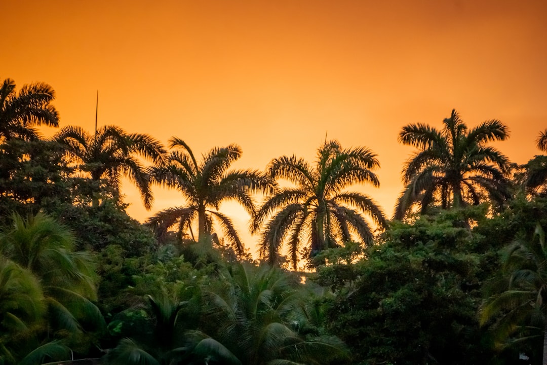 ジャマイカの風景