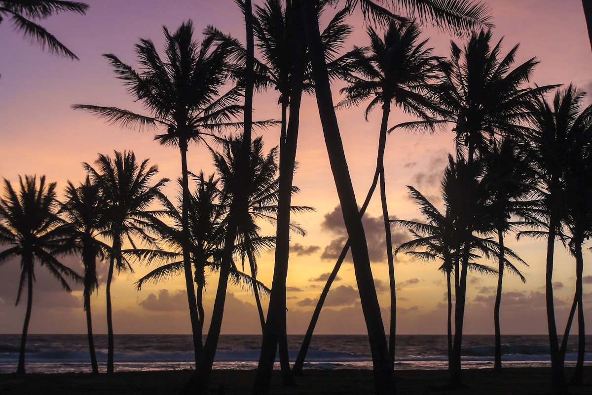 マーシャル諸島の風景