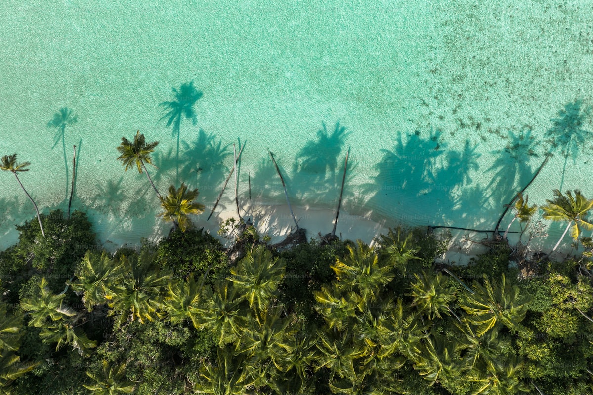 モーリシャスの風景