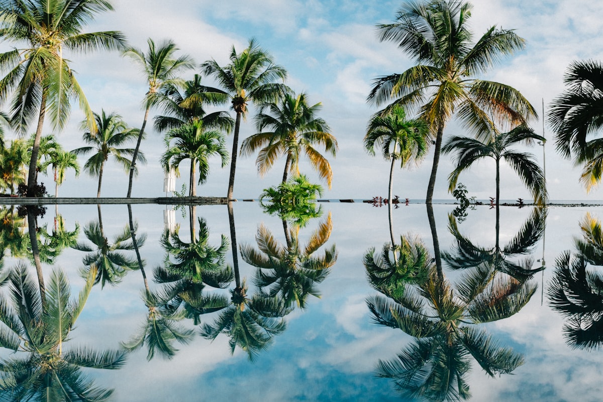 モーリシャスの風景