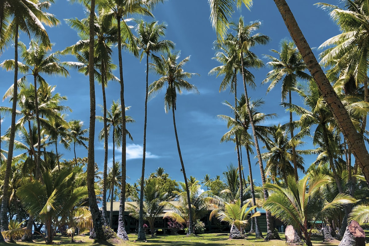 ミクロネシアの風景