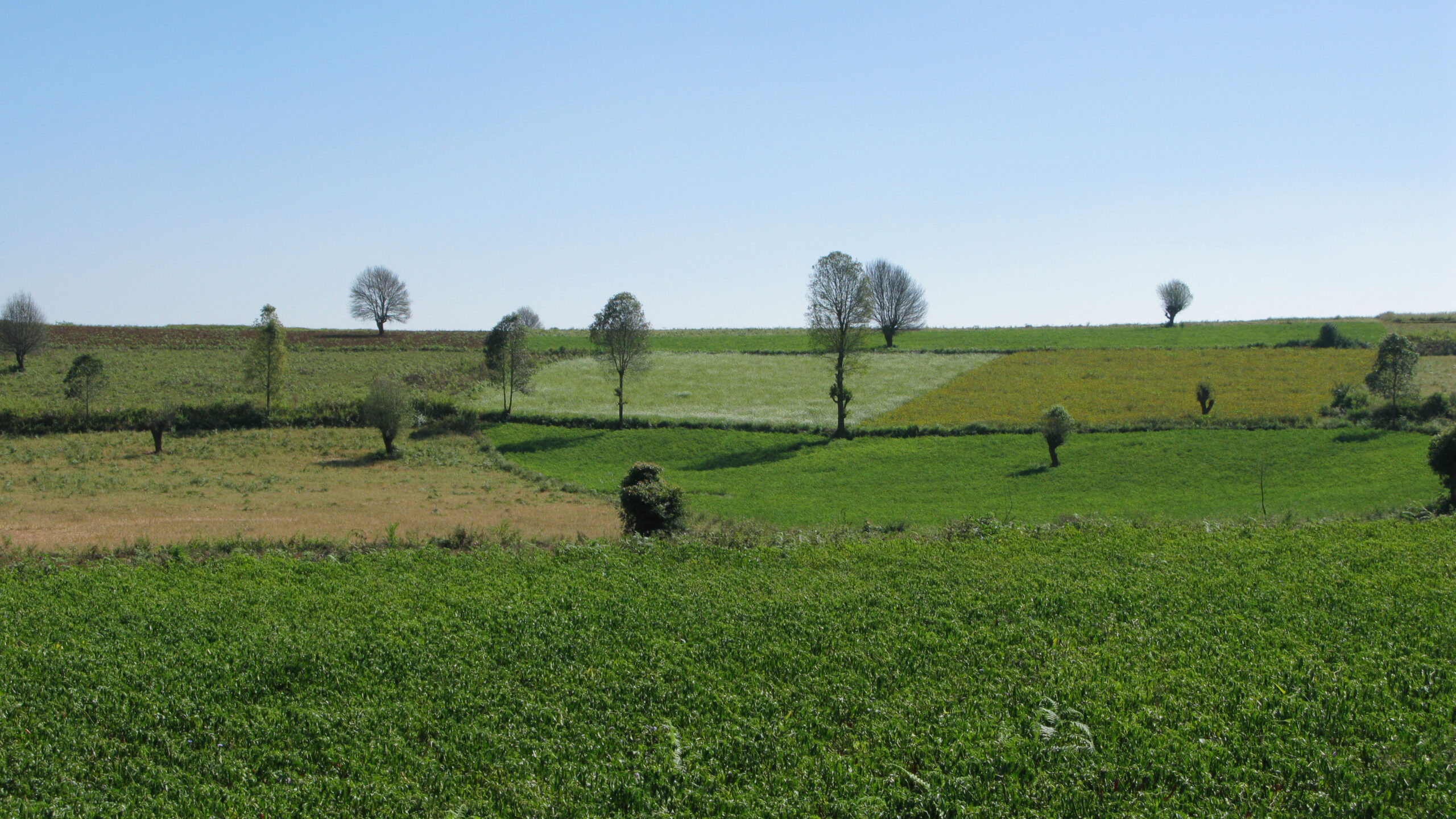 ミャンマーの風景