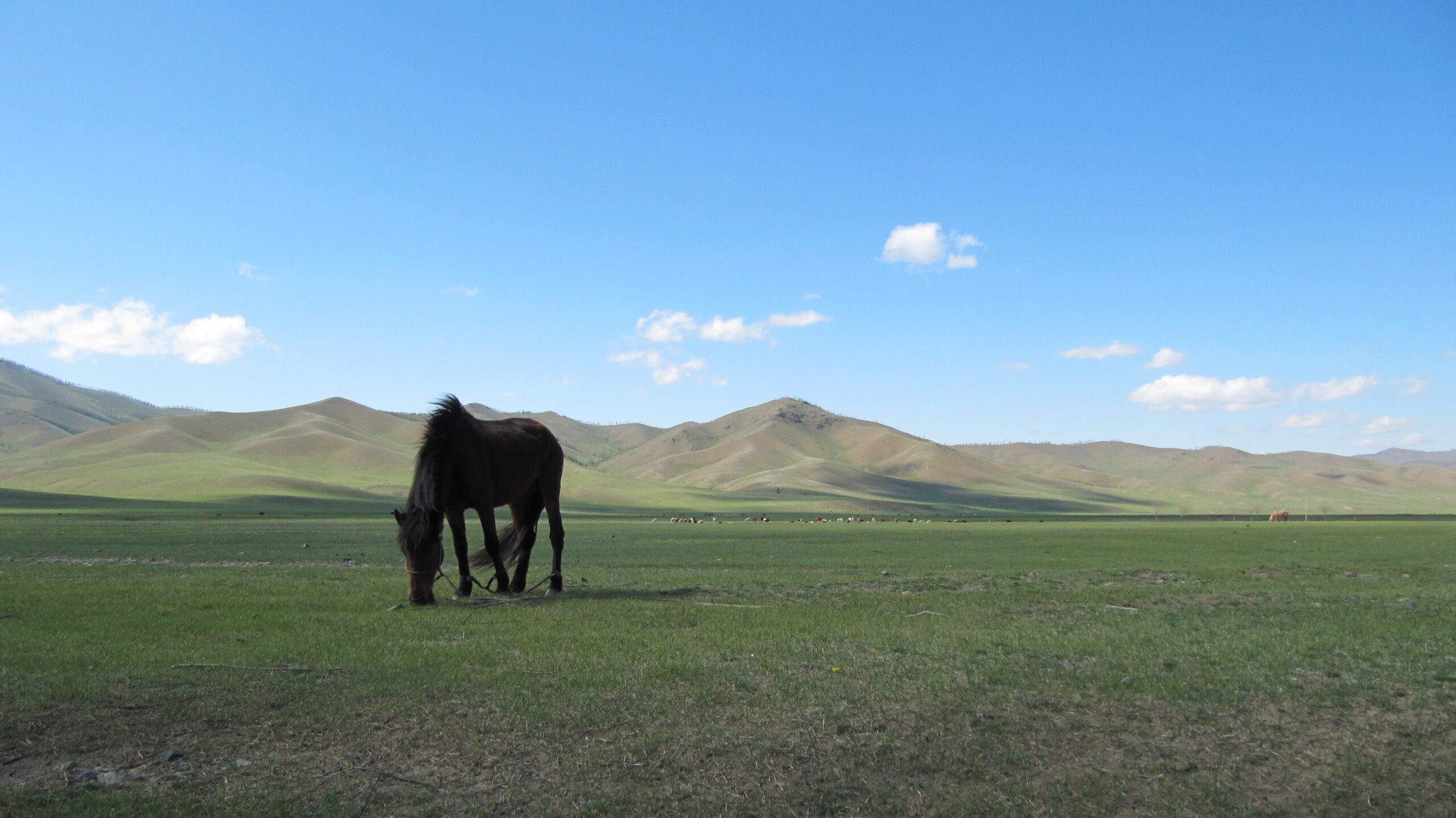 モンゴルの風景