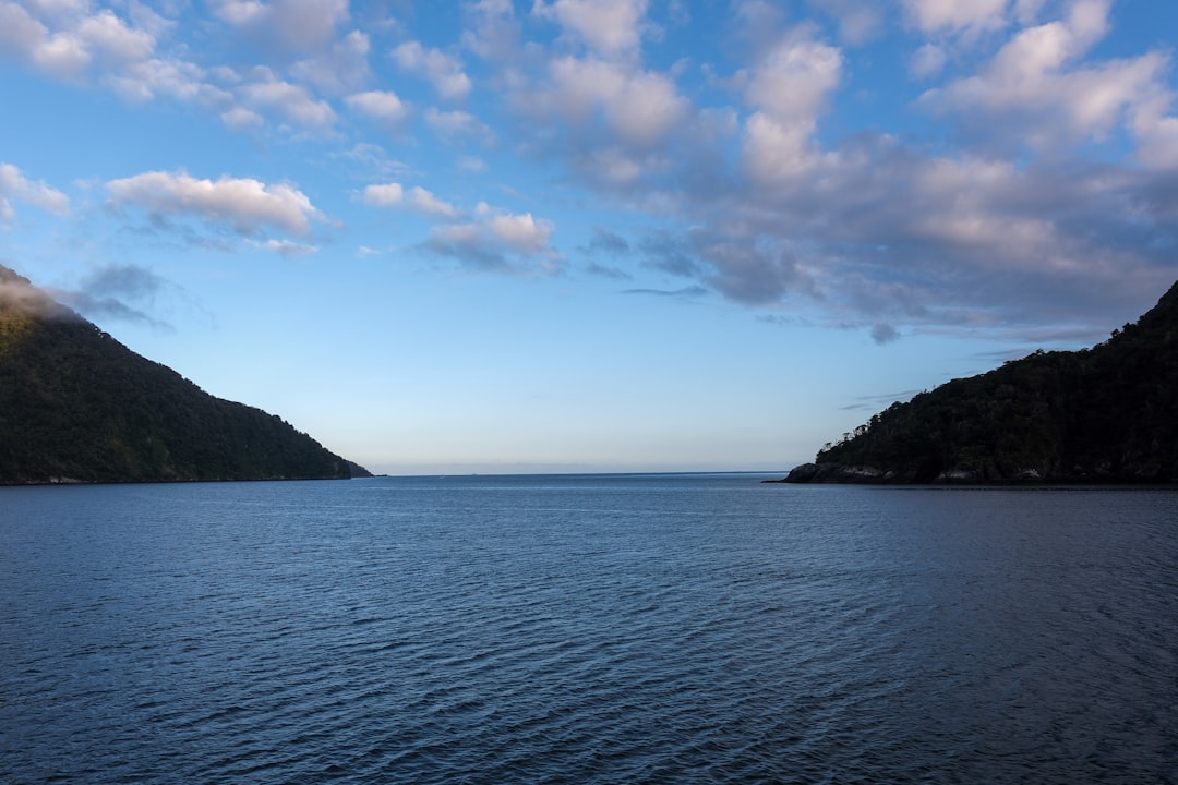 ニュージーランドの風景