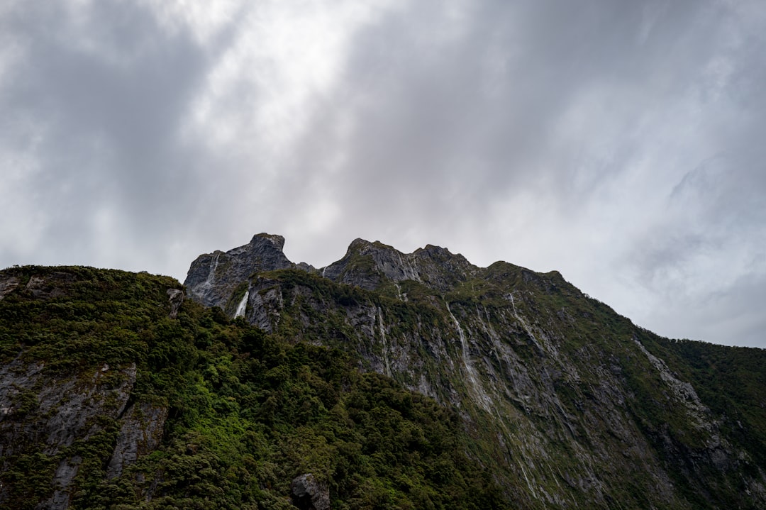 ニュージーランドの風景