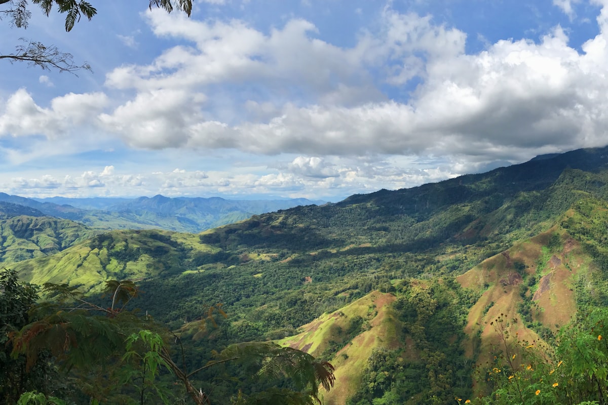 パプアニューギニアの風景
