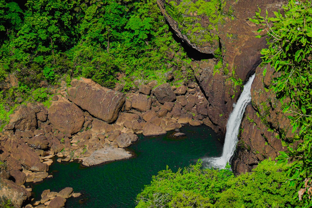 パプアニューギニアの風景