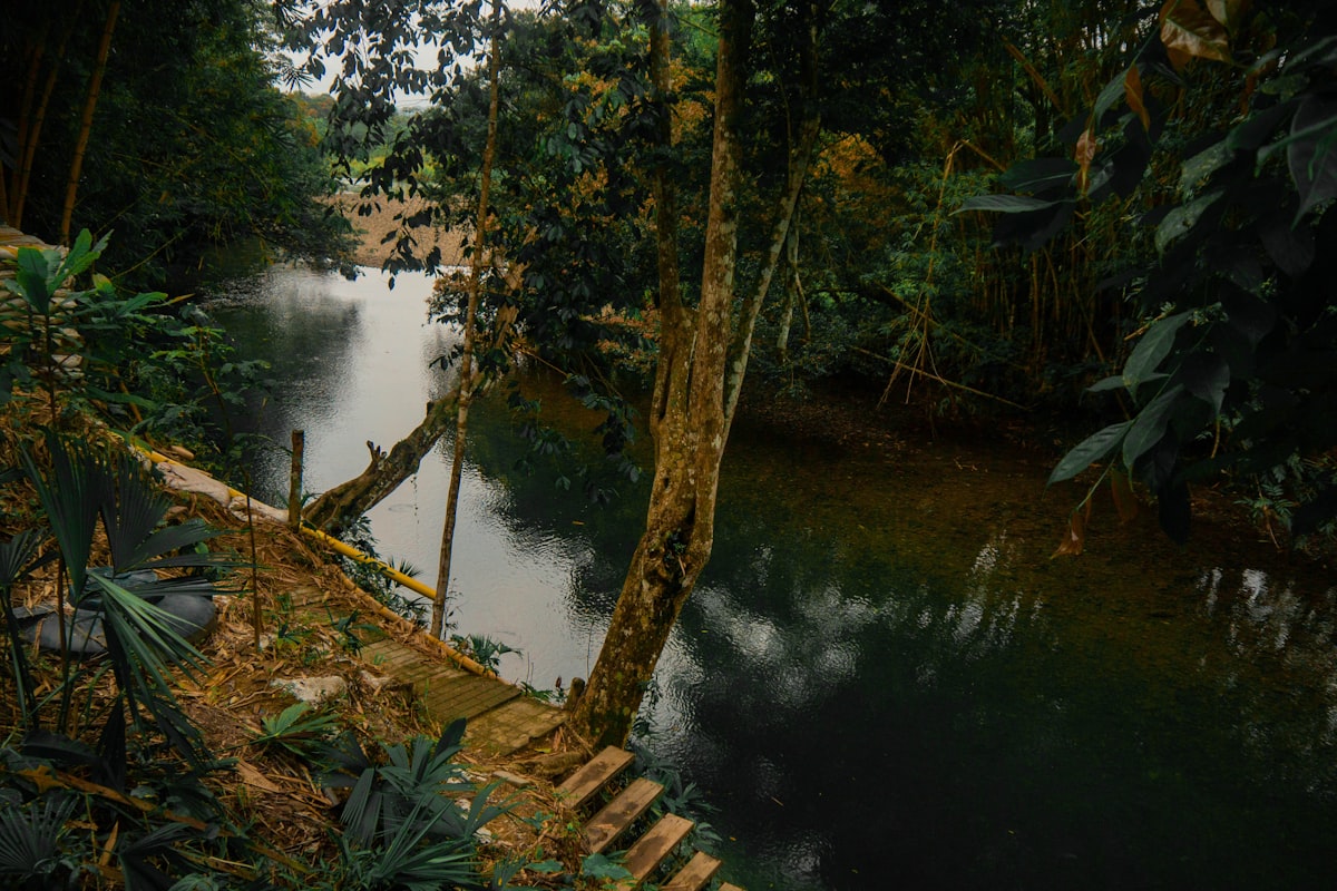 スリナムの風景