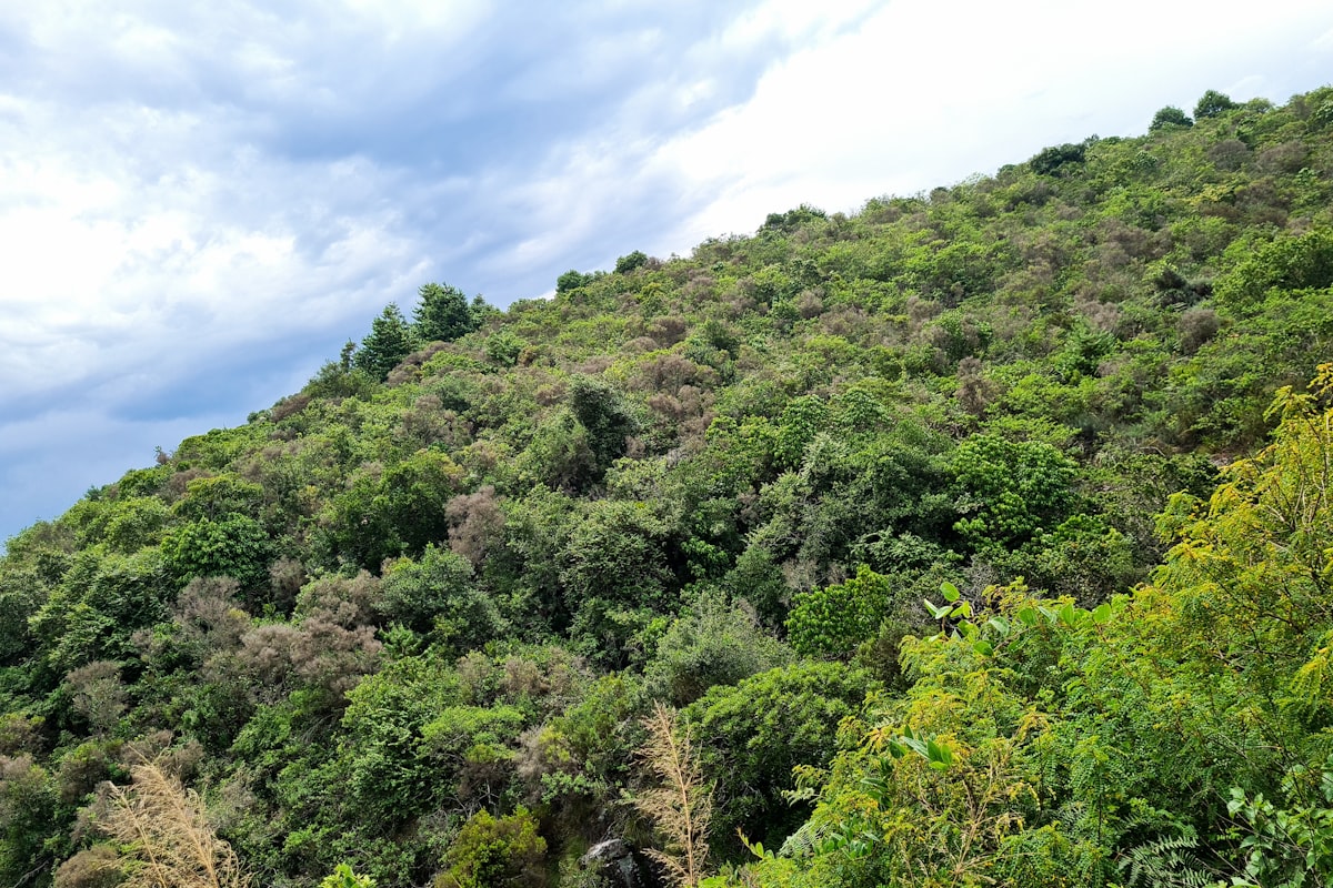 ジンバブエの風景