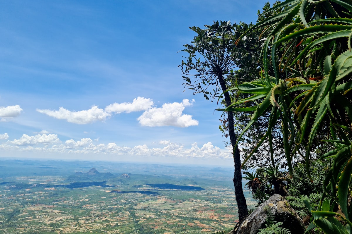 ジンバブエの風景
